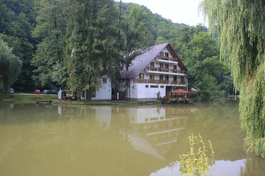 Guest House Lacul Linistit Moneasa Bilik gambar